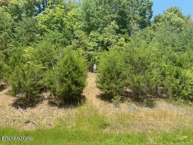 492 Citron Lane New Tazewell, TN 37825