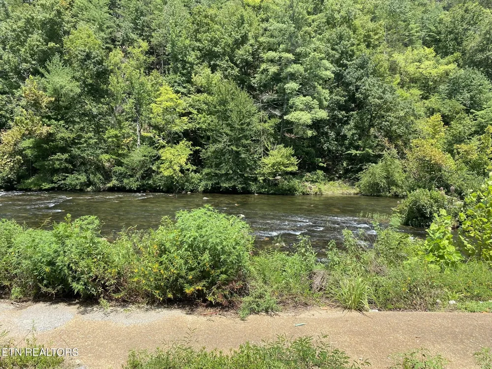 1665 Cherohala Tellico Plains, TN 37385