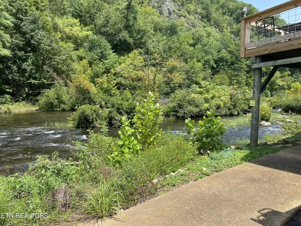 1665 Cherohala Tellico Plains, TN 37385