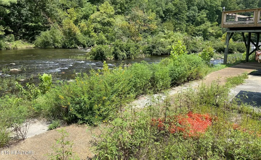 1665 Cherohala Tellico Plains, TN 37385