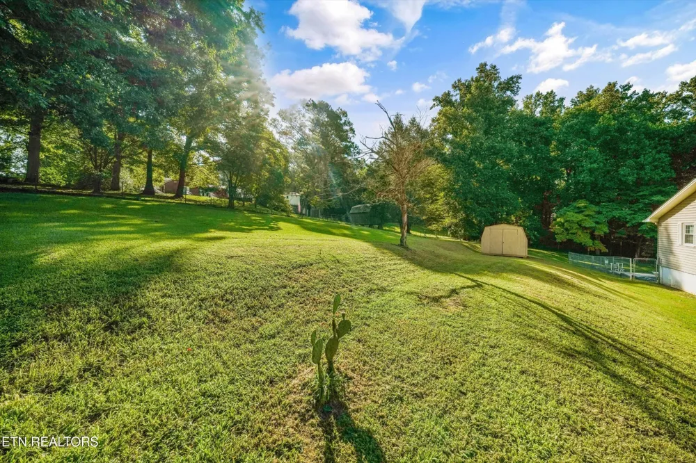 155 Chestnut Hill Rd Harriman, TN 37748