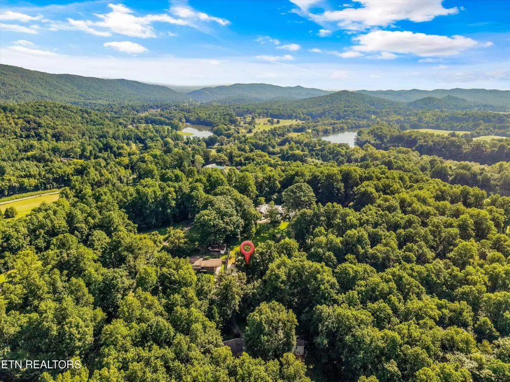 155 Chestnut Hill Rd Harriman, TN 37748
