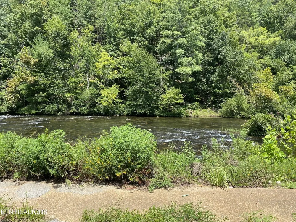 1663 Cherohala Tellico Plains, TN 37385