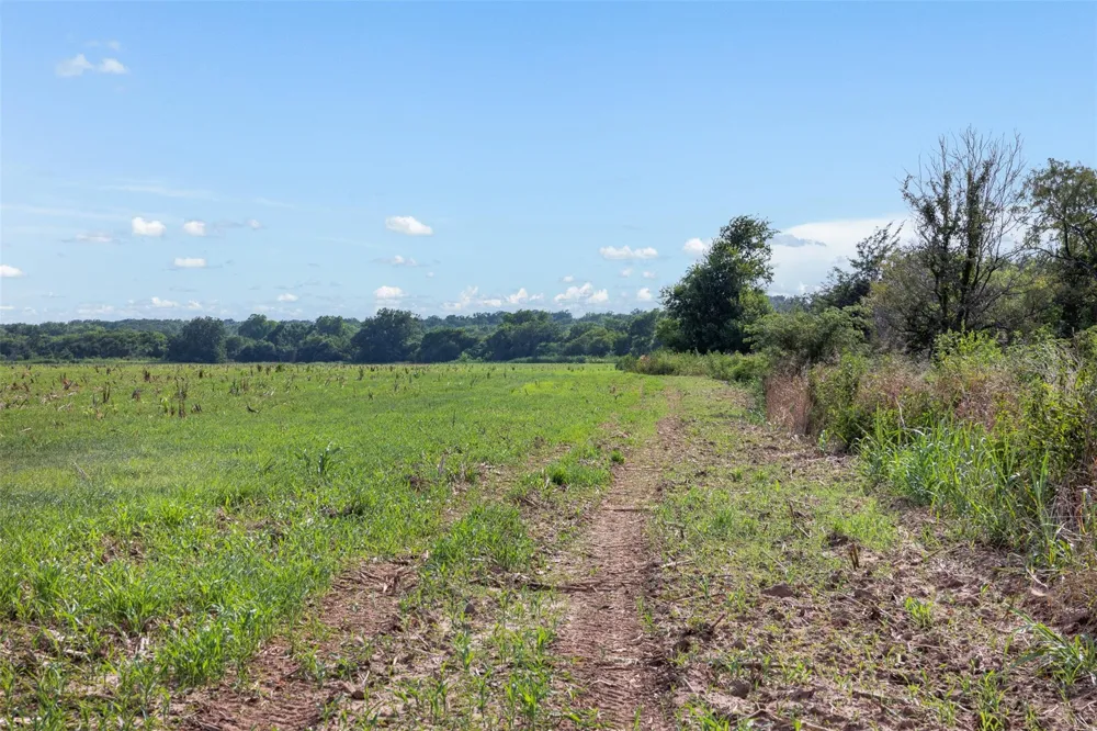 210 Black Bridge Road Calvert, TX 77837