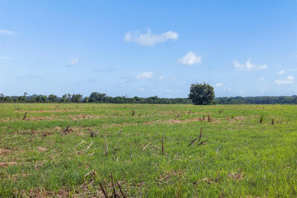 210 Black Bridge Road Calvert, TX 77837