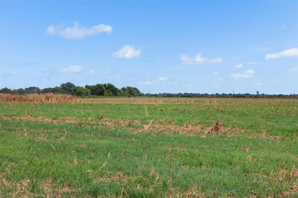 210 Black Bridge Road Calvert, TX 77837