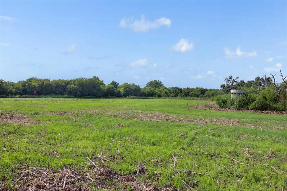 210 Black Bridge Road Calvert, TX 77837