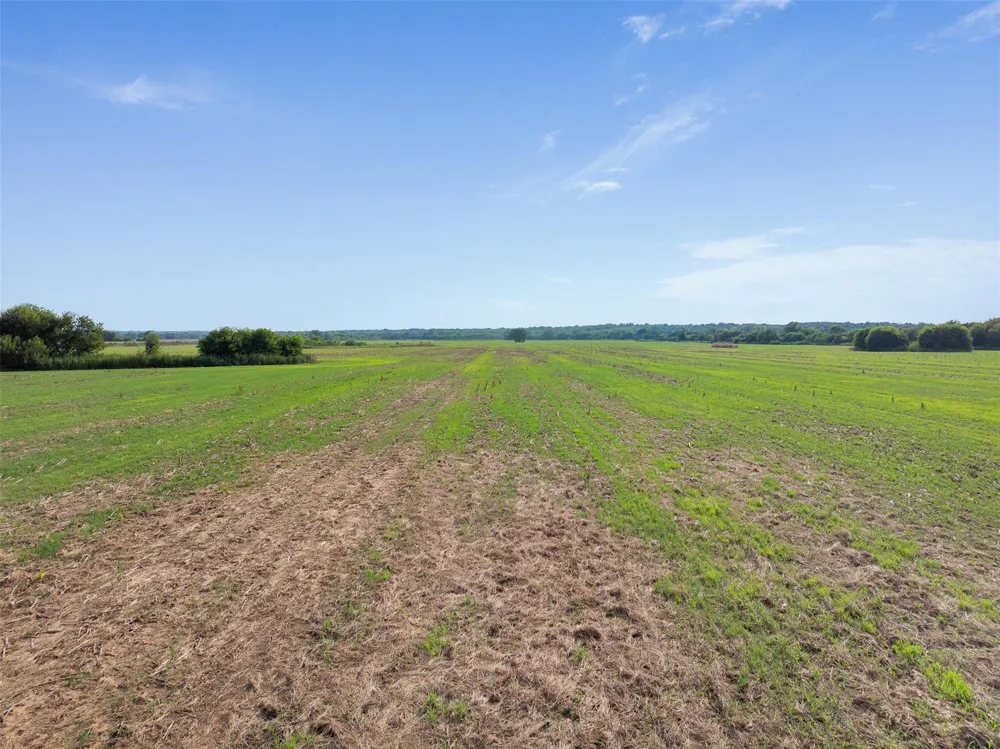 210 Black Bridge Road Calvert, TX 77837