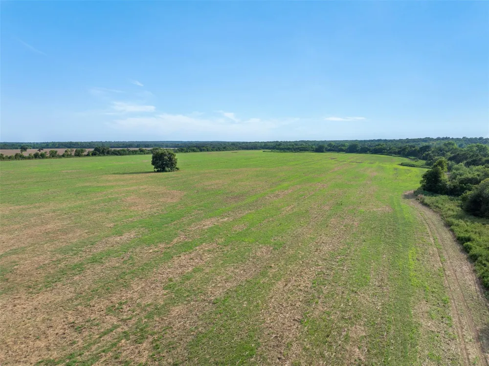 210 Black Bridge Road Calvert, TX 77837