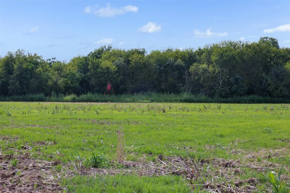 210 Black Bridge Road Calvert, TX 77837