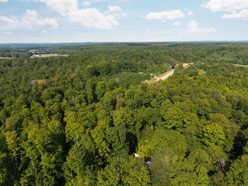5501 Way Road Clearwater Township, MI 49676