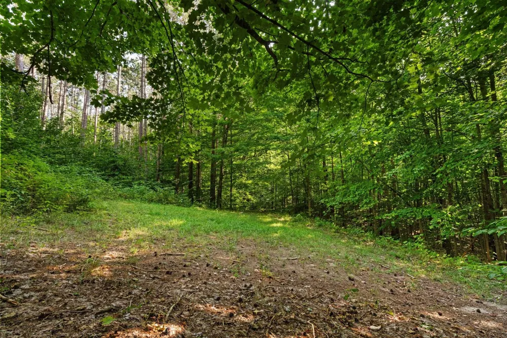 5501 Way Road Clearwater Township, MI 49676