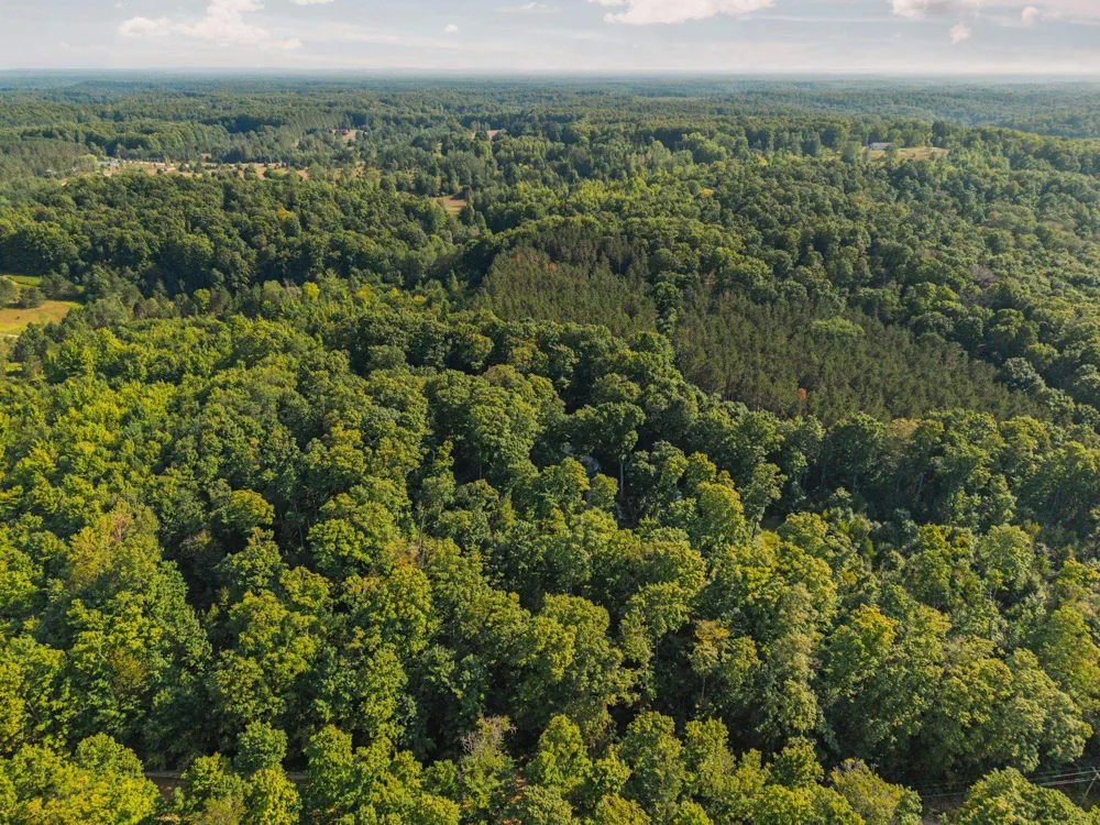 5501 Way Road Clearwater Township, MI 49676