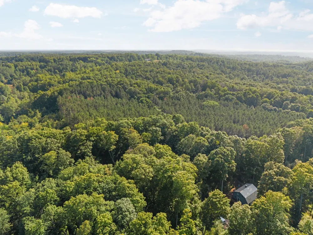 5501 Way Road Clearwater Township, MI 49676