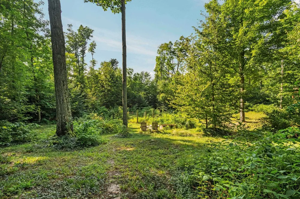 5501 Way Road Clearwater Township, MI 49676