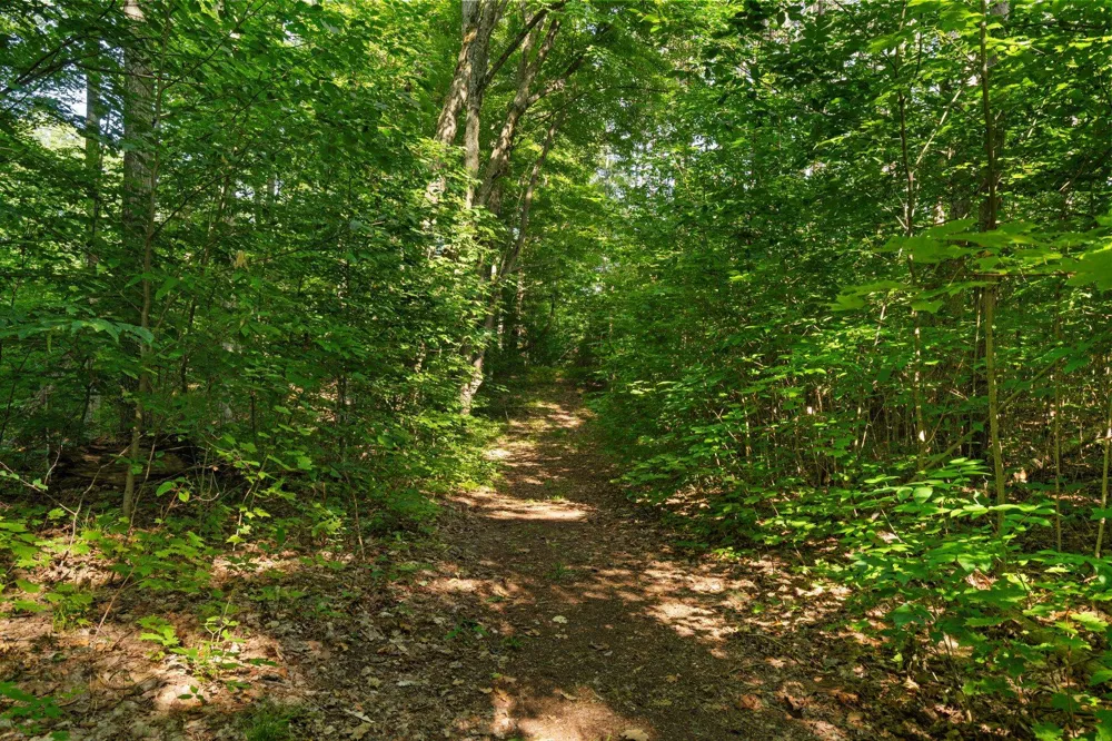 5501 Way Road Clearwater Township, MI 49676