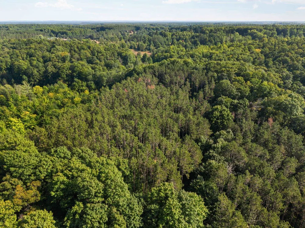 5501 Way Road Clearwater Township, MI 49676