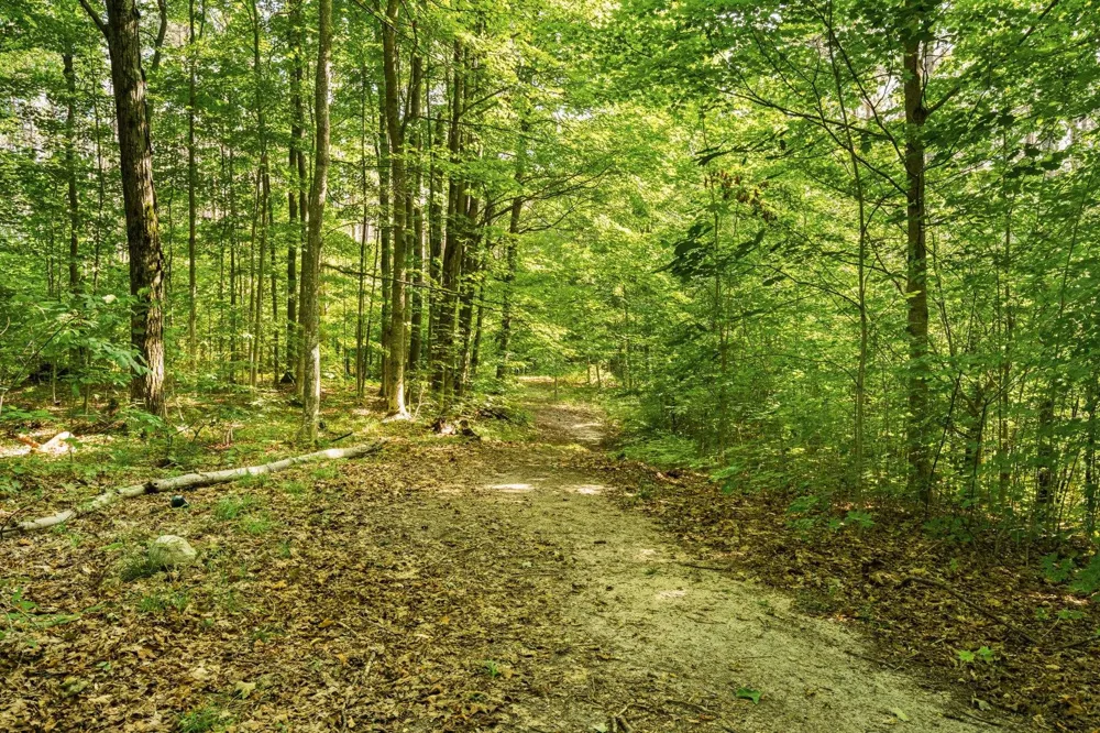 5501 Way Road Clearwater Township, MI 49676