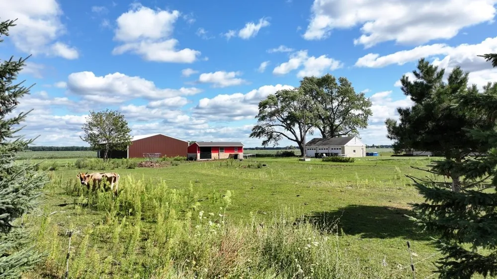 7652 Wise Road Wise Township, MI 48617
