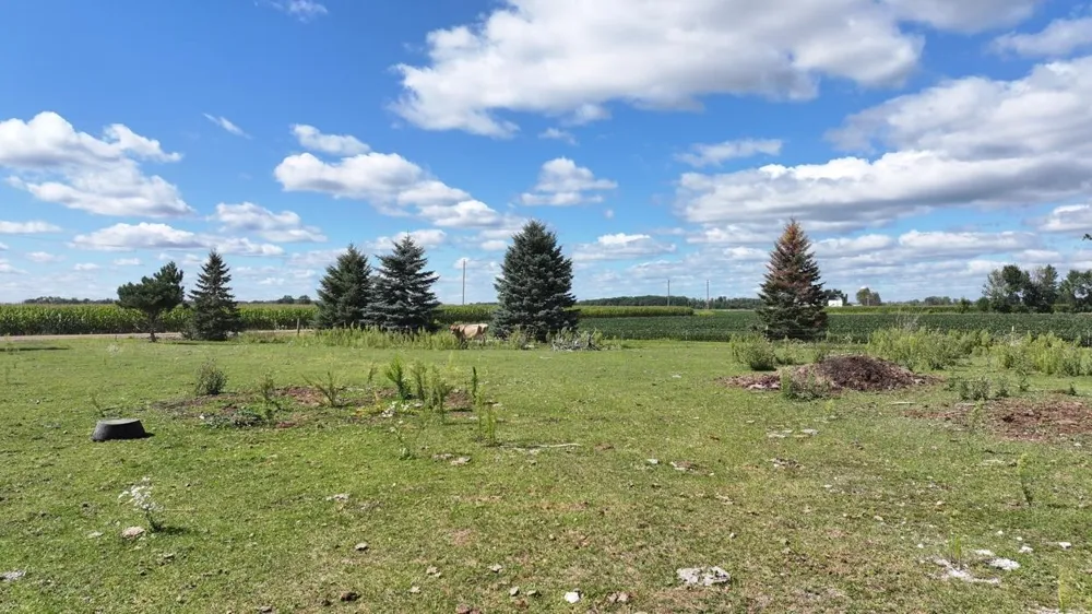 7652 Wise Road Wise Township, MI 48617
