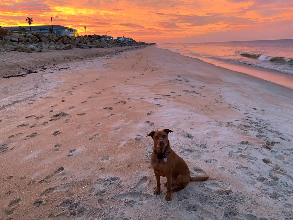 3073 PAINTERS WALK Flagler Beach, FL 32136