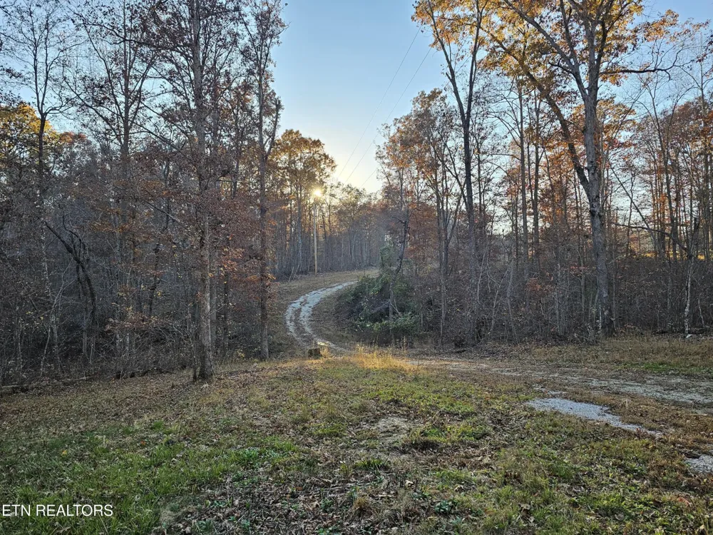 196 Red Hill Rd Sunbright, TN 37872