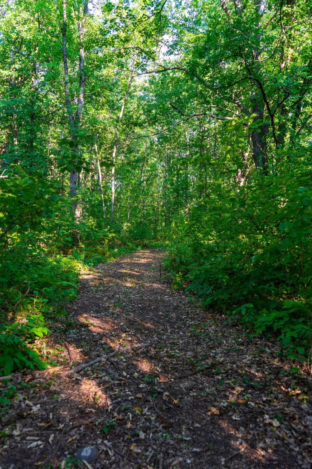 64680 Creekview Lane Sandstone, MN 55072