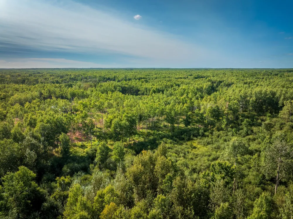64680 Creekview Lane Sandstone, MN 55072