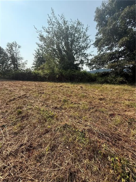 00 Ridgemont Lane Ellijay, GA 30536