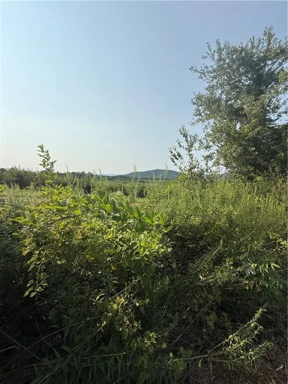 00 Ridgemont Lane Ellijay, GA 30536