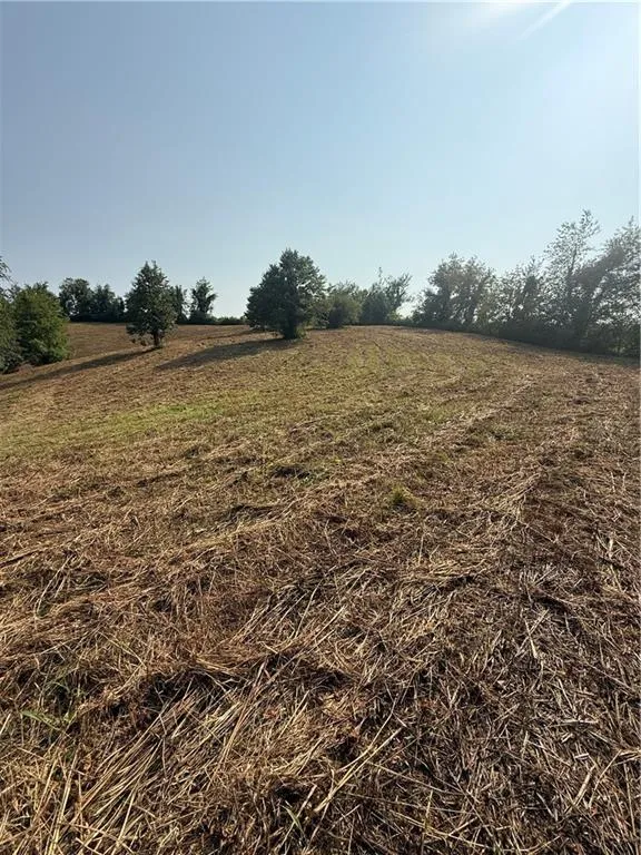 00 Ridgemont Lane Ellijay, GA 30536