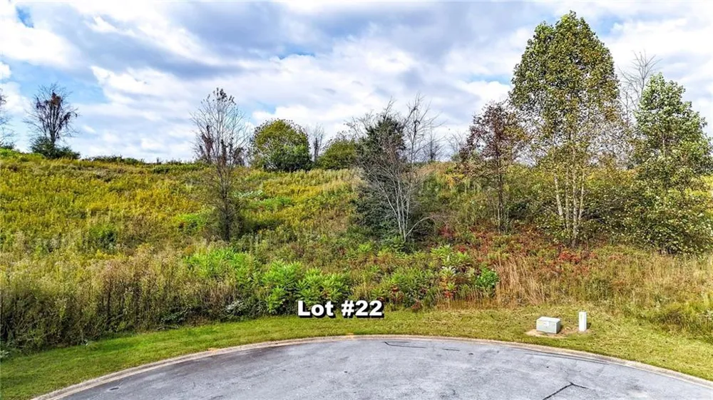 00 Ridgemont Lane Ellijay, GA 30536
