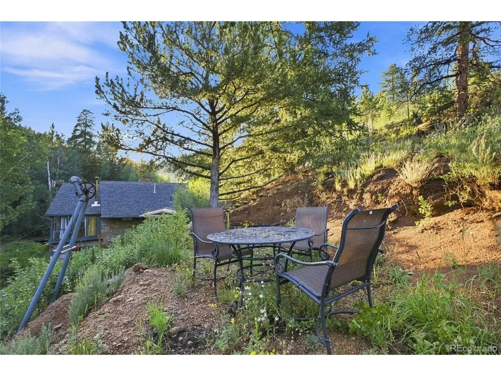 222 Road P60 Bailey, CO 80421