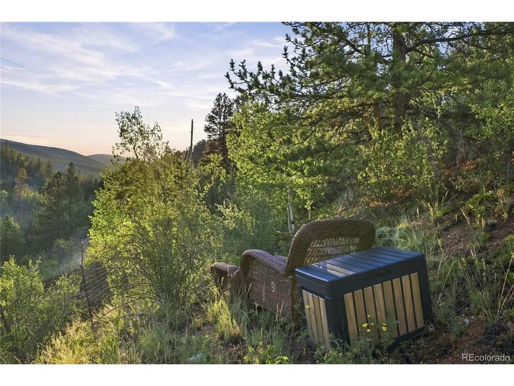 222 Road P60 Bailey, CO 80421