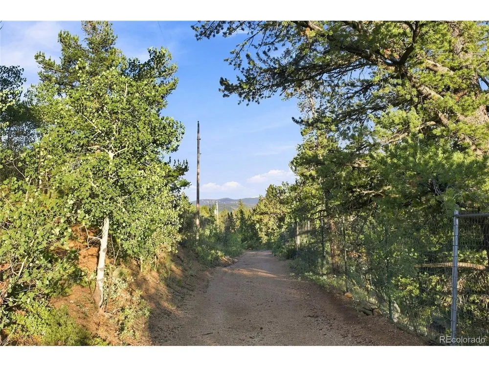 222 Road P60 Bailey, CO 80421