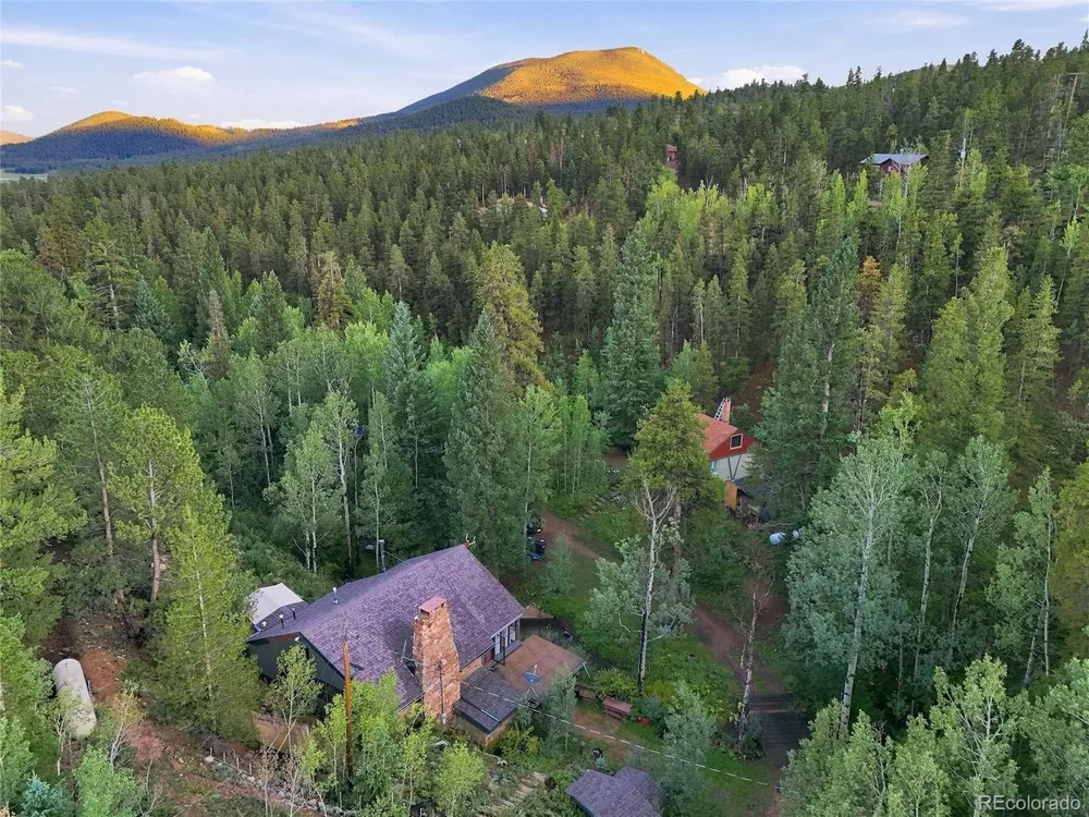 222 Road P60 Bailey, CO 80421