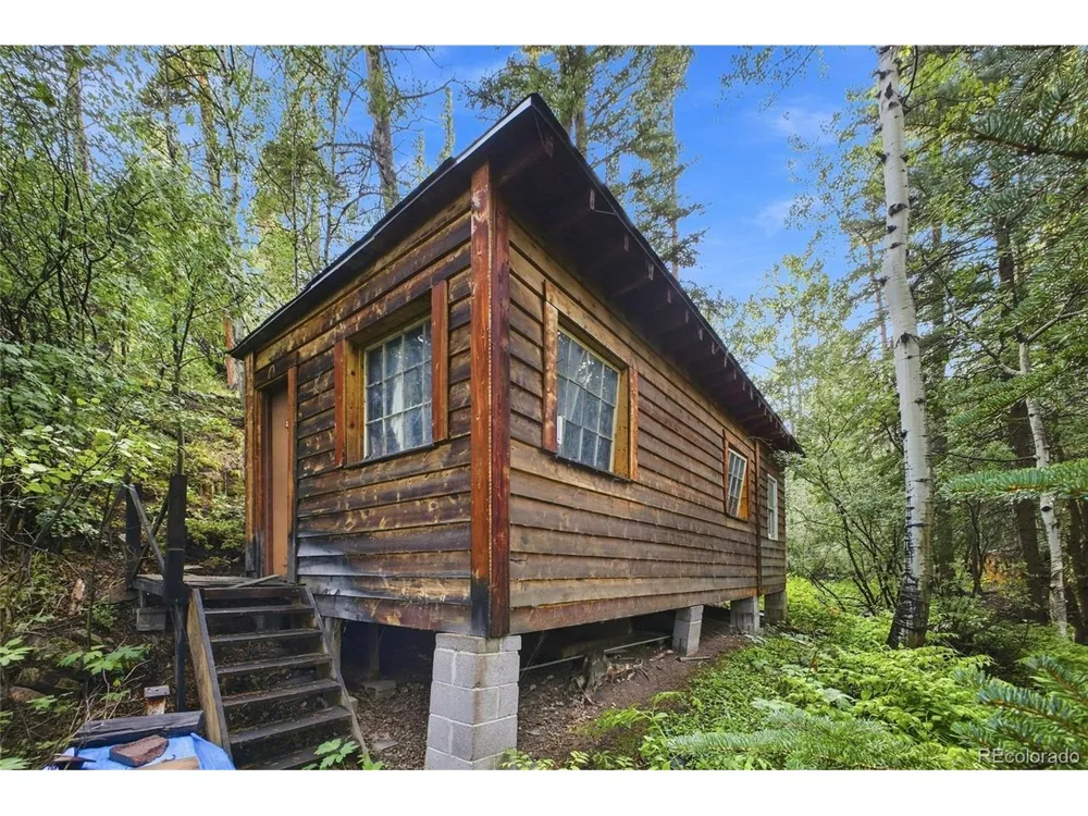 222 Road P60 Bailey, CO 80421