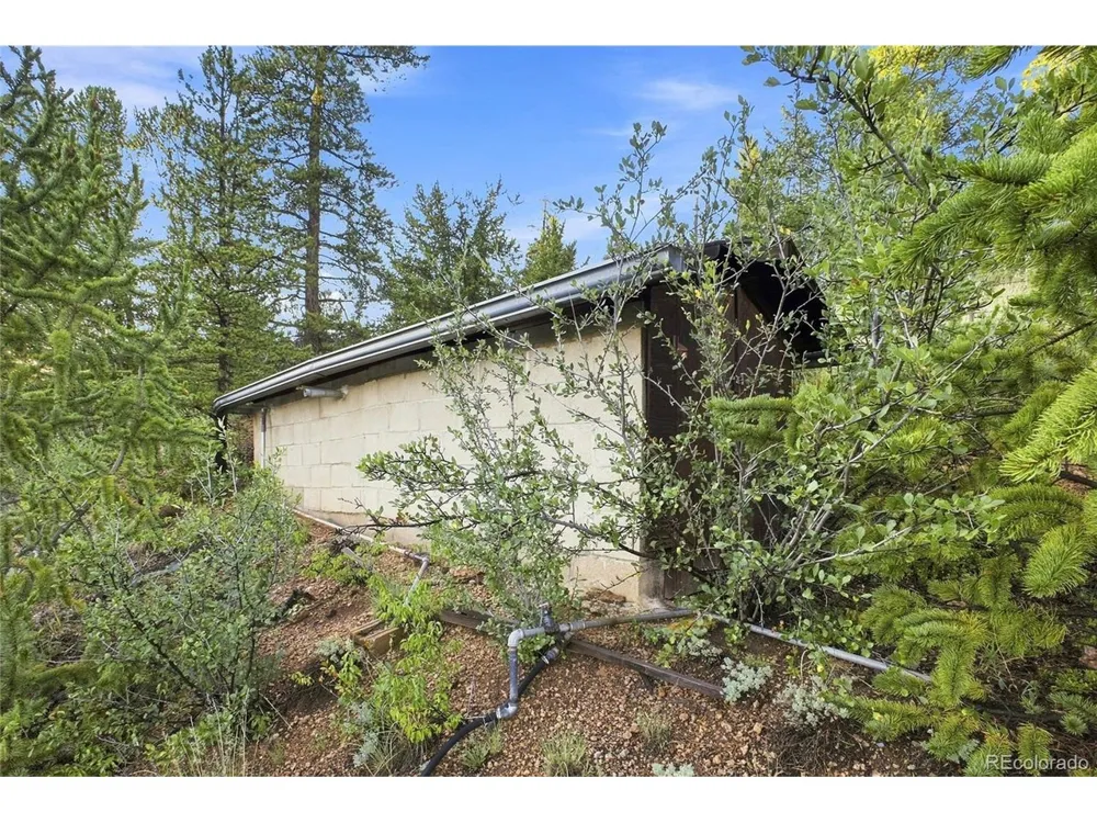 222 Road P60 Bailey, CO 80421