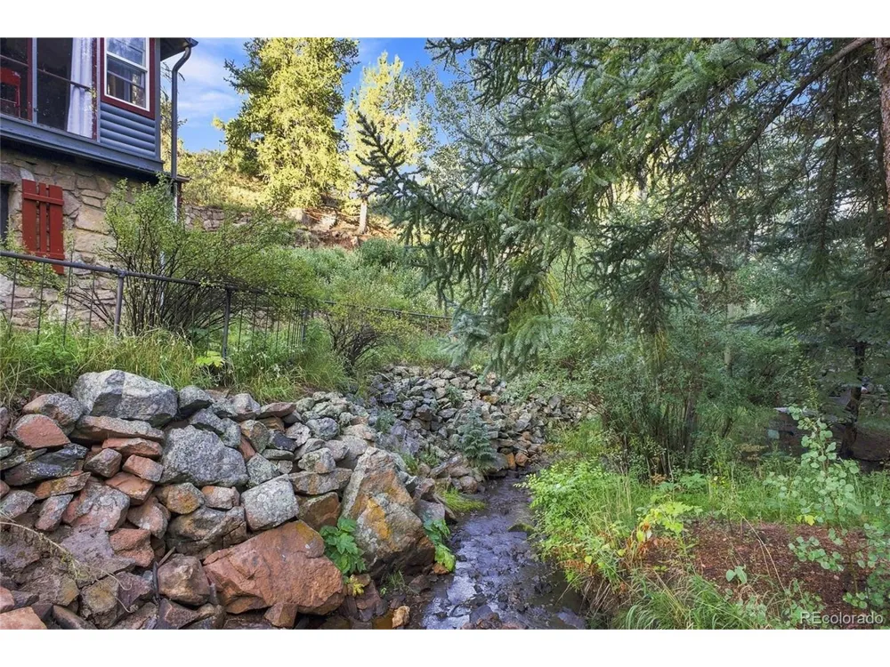 222 Road P60 Bailey, CO 80421