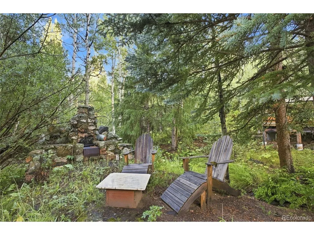 222 Road P60 Bailey, CO 80421