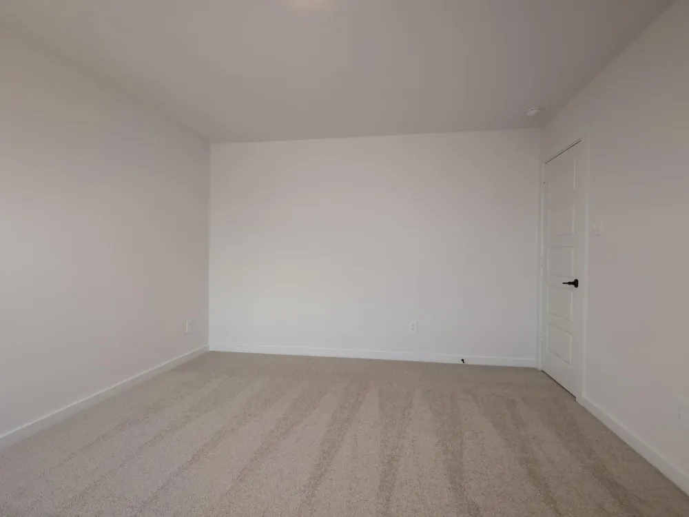 318 Birch Blossom Path Magnolia, TX 77354