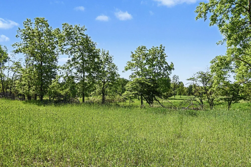 E Charles Road #Parcel A Ionia, MI 48846