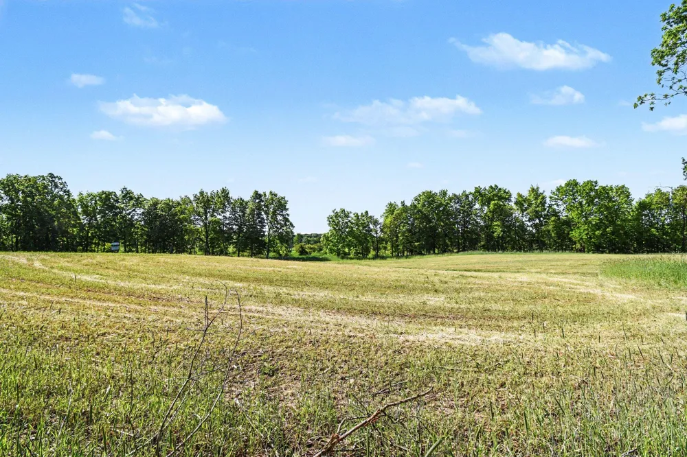 E Charles Road #Parcel A Ionia, MI 48846