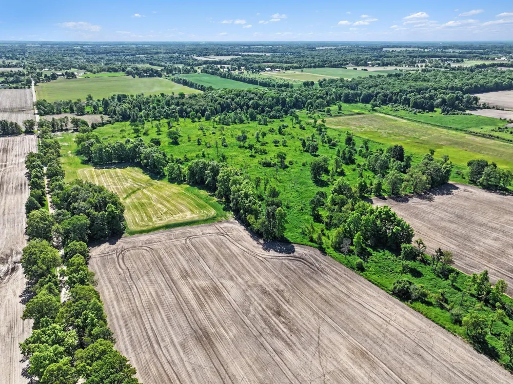 E Charles Road #Parcel A Ionia, MI 48846