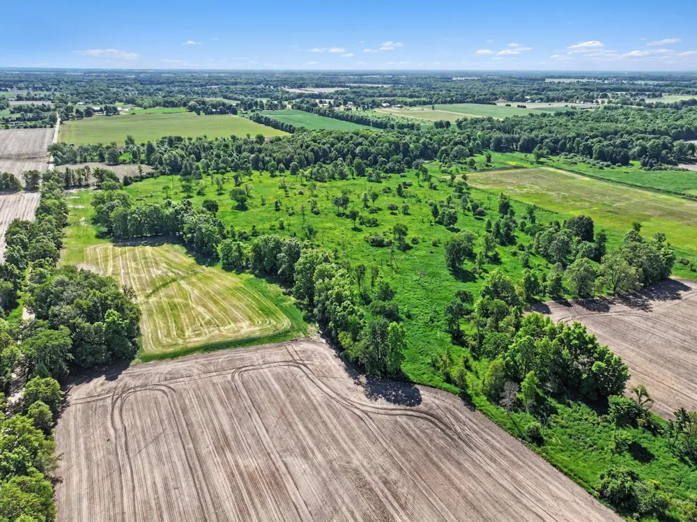 E Charles Road #Parcel A Ionia, MI 48846
