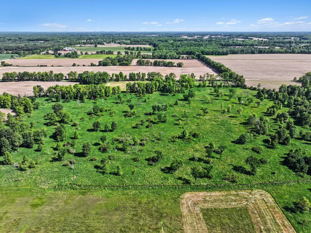 E Charles Road #Parcel A Ionia, MI 48846
