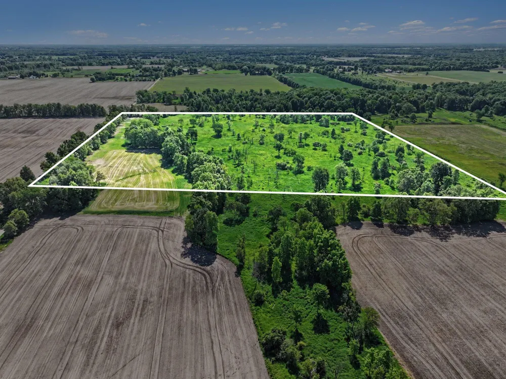 E Charles Road #Parcel A Ionia, MI 48846