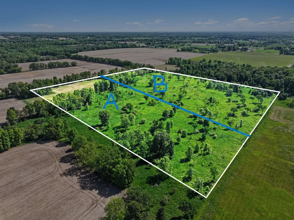E Charles Road #Parcel B Ionia, MI 48846
