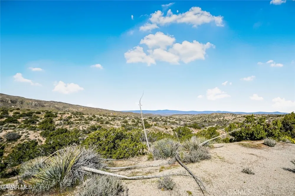 31720 96th Street East Littlerock, CA 93543