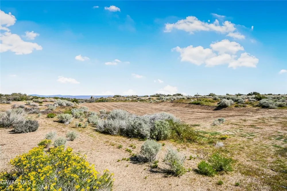 31720 96th Street East Littlerock, CA 93543